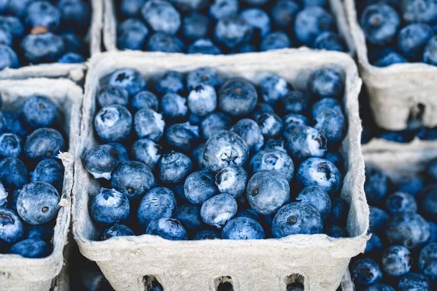 Blueberries in a square cardboard containers