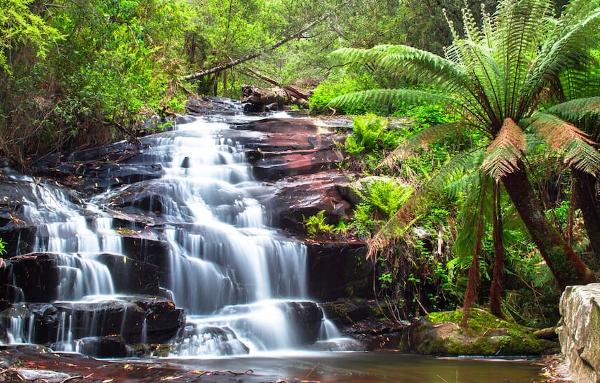 Cora Lynn Cascades