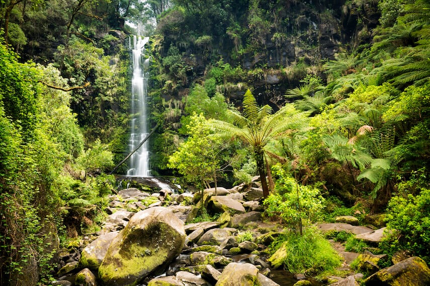 Erskine Waterfall Lorne