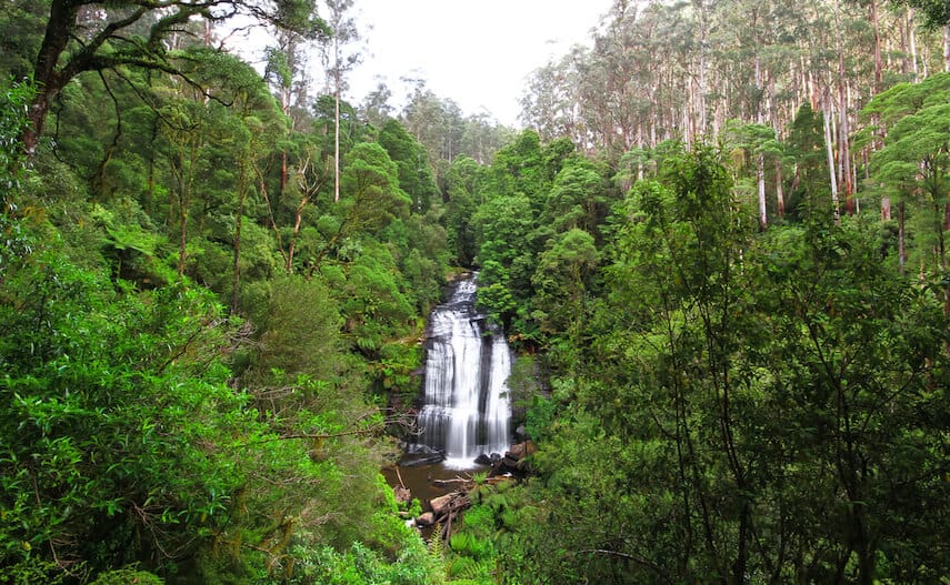 Little Aire Falls, Beech Forrest Cape Otway