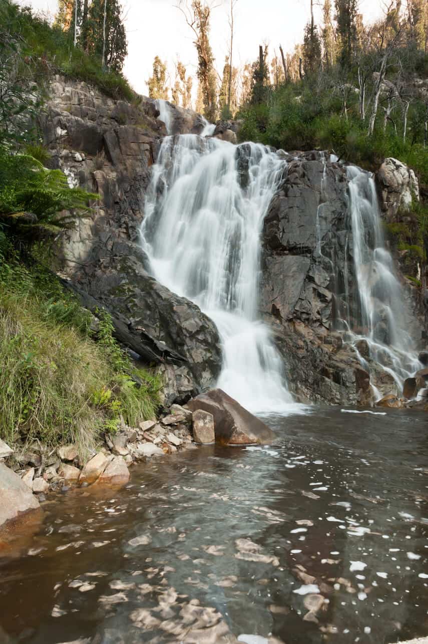 Stevenson Falls Otway National Park